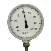 ТБ-2 биметал100С lпогр125 d10 М20*1,5 IP54задн10г